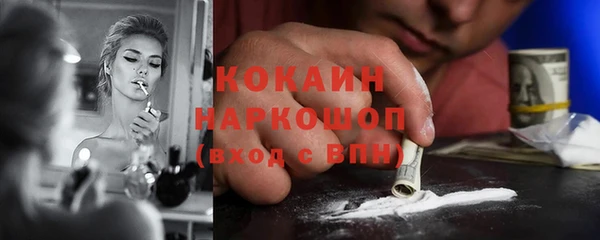 сатива Весьегонск