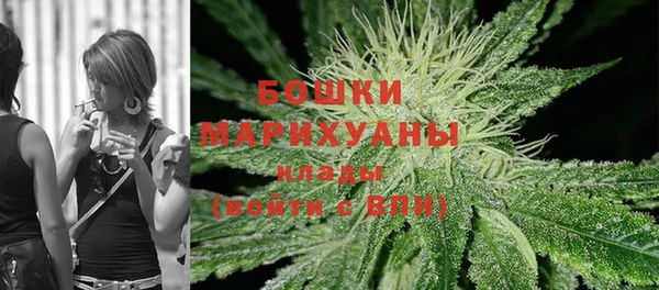 крисы Белокуриха