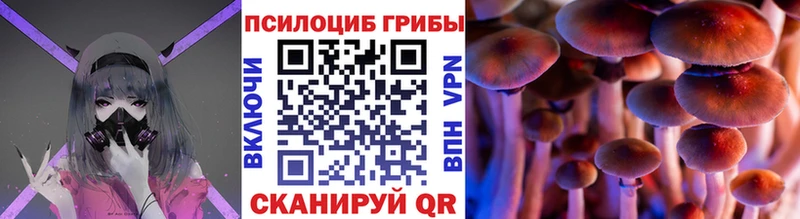 наркотики  Короча  это официальный сайт  Псилоцибиновые грибы Psilocybine cubensis 
